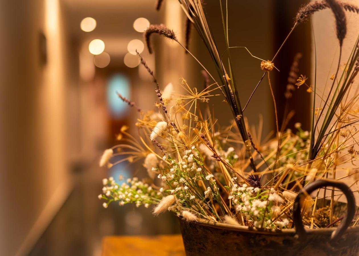 Hostal Restaurante Ventasierra Valdoré 외부 사진